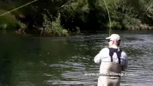 Video thumb for Dry fly fishing - Malleo River - Patagonia Argentina