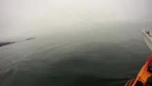 Video thumb for Kayak Fly Fishing Neah Bay