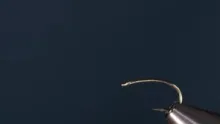 Video thumb for The Ant-Caddis