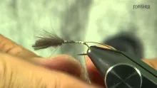 Video thumb for Ginger top CDC
