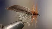 Video thumb for Henryville Special