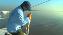 Video thumb for Lower Laguna Madre