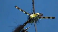 Video thumb for Black and Gold Bluegill Nymph