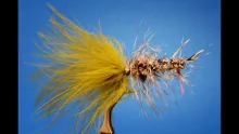 Video thumb for The Wooly Bug