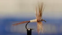 Video thumb for March Brown Dry