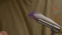 Video thumb for Flash-a-Bunny