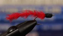 Video thumb for Cinder Worm