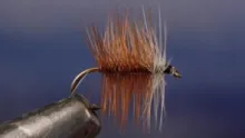 Video thumb for Bivisible