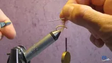 Video thumb for Daddis pupa
