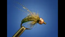 Video thumb for Ninja Pupa