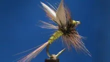 Video thumb for Greenwells Glory