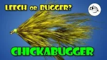 Video thumb for Chickabugger