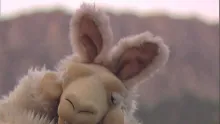 Video thumb for Oliana in the winter, Catalonia.