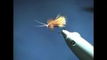 Video thumb for Brown Sedgehog (variant)