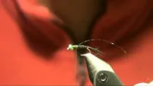 Video thumb for Eric's Uber Baetis
