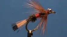 Video thumb for Royal Comet