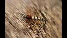 Video thumb for Super Pupa