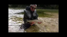 Video thumb for Grayling time