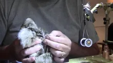 Video thumb for Harrop's CDC Bubble Back Variant