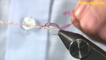 Video thumb for Ultimate Pink Shrimp
