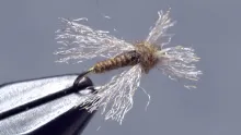 Video thumb for Spent Early Smoky-Winged Caddis