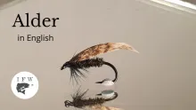 Video thumb for Alder