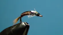 Video thumb for Craven's JuJu Baetis
