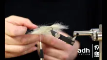 Video thumb for Baitfish