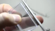 Video thumb for French Partridge