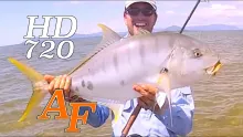 Video thumb for Golden Trevalley and Tusk Fish Part 2