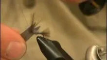 Video thumb for Tim's Little Gray