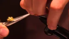 Video thumb for Ray Charles Sow Bug